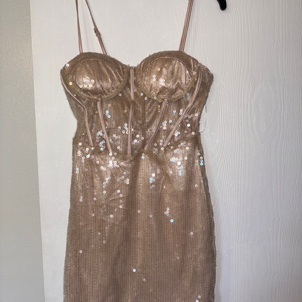 Gold/ Champagne sheer sequin dress